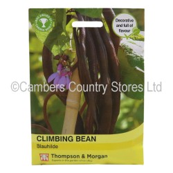 Thompson & Morgan Climbing Bean Blauhilde